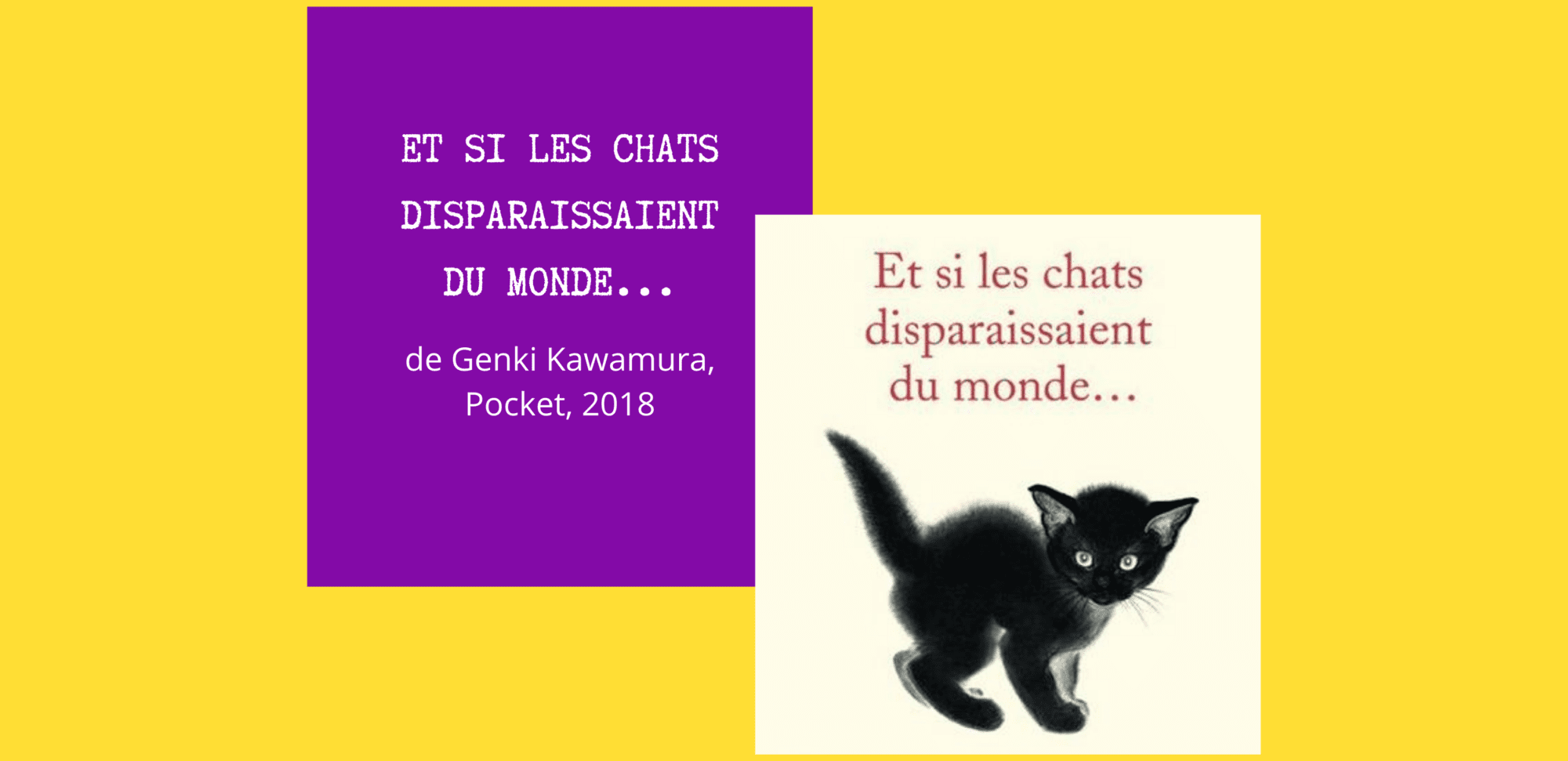 Et Si Les Chats Disparaissaient Du Monde Un joli livre de compagnie | Rêveuse chronique